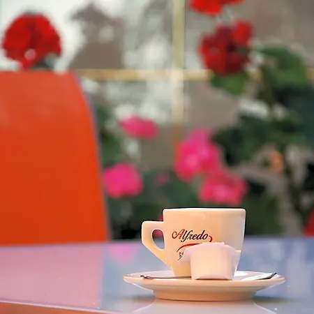 Bacchus Panzio Couette-café 3*