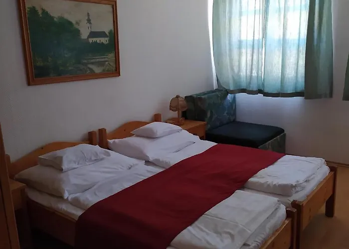 Bacchus Panzió Frühstückspension 3*